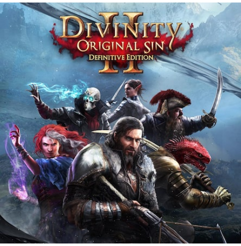 Divinity Original Sin